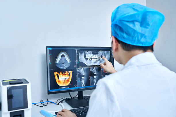 Best Emergency X-Rays and Diagnostics in Berrien Springs, MI